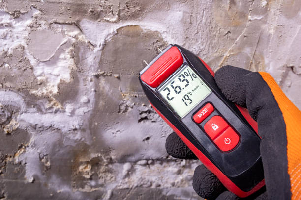 Best Water Damage Restoration  in Chesterfield, SC