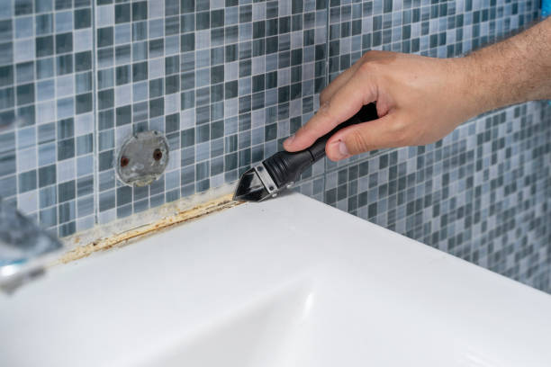 Best Affordable Mold Removal  in Chesterfield, SC