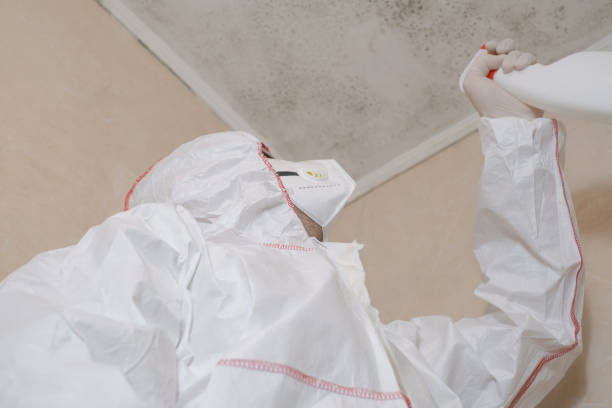 Chesterfield, SC Mold Removal Company